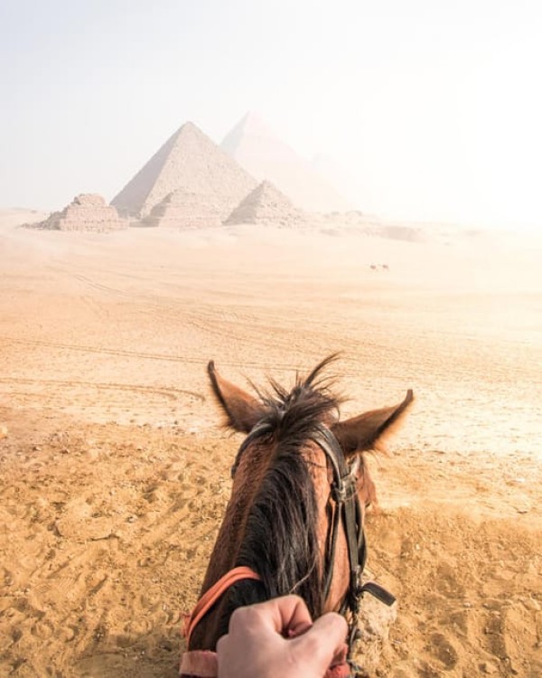 Cairo: Pyramids Arabian Horse Or Camel Ride With Bedouin Tea | ®ExcursionMania