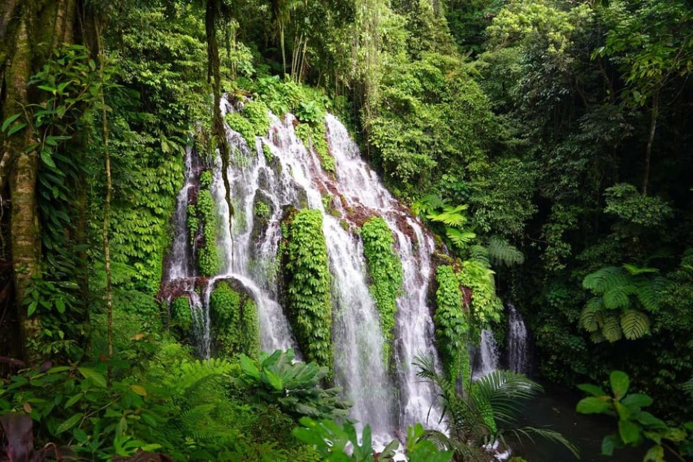 Munduk: Banyu Wana and Sekumpul Waterfall Trekking Tour | ®ExcursionMania