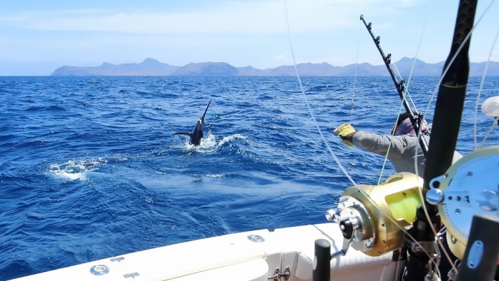 From Muscat: Private DeepSea Fishing Boat Trip | ®ExcursionMania