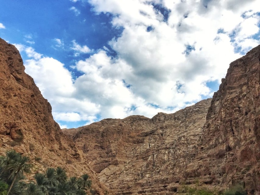 From Muscat: Wadi Shab and Ras Al Jinz 2Day Guided Tour | ®ExcursionMania