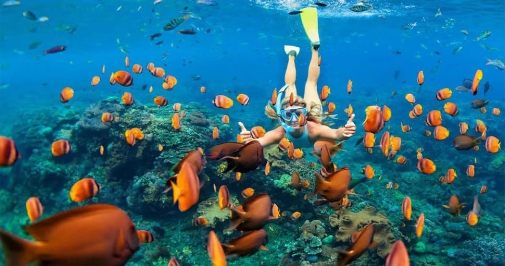 Sharm ElSheikh Port to Ras Mohamed National Park by Car | ®ExcursionMania