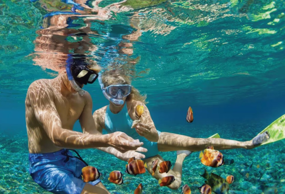 Sharm ElSheikh Port to Ras Mohamed National Park by Car | ®ExcursionMania