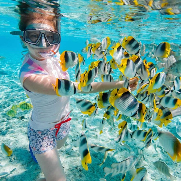 Sharm ElSheikh Port to Ras Mohamed National Park by Car | ®ExcursionMania