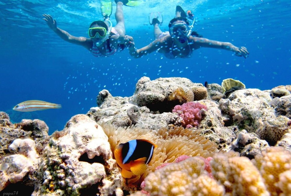 Sharm ElSheikh Port to Ras Mohamed National Park by Car | ®ExcursionMania