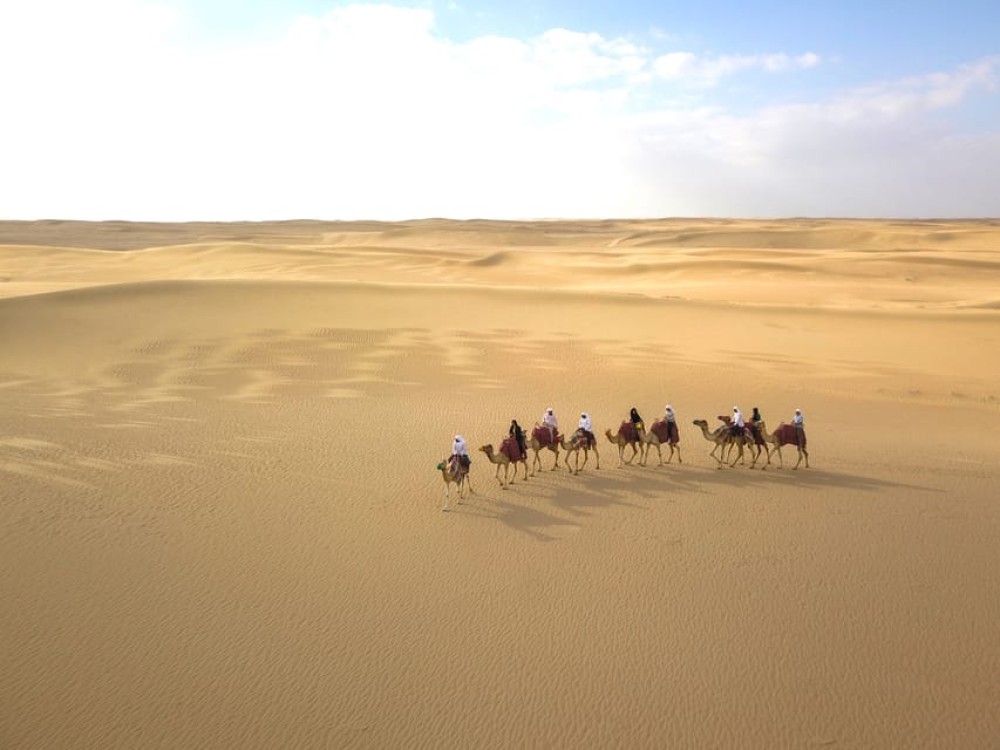Dubai: Al Marmoom Oasis Safari, Animal Spotting & Breakfast | ®ExcursionMania