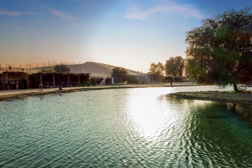 Dubai: Al Marmoom Oasis Safari, Animal Spotting & Breakfast | ®ExcursionMania