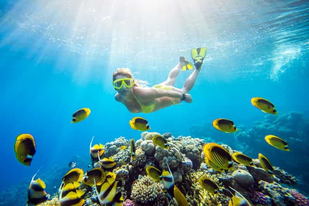 Sharm El Sheikh: Snorkeling Trip To Tiran Island With Lunch | ®ExcursionMania