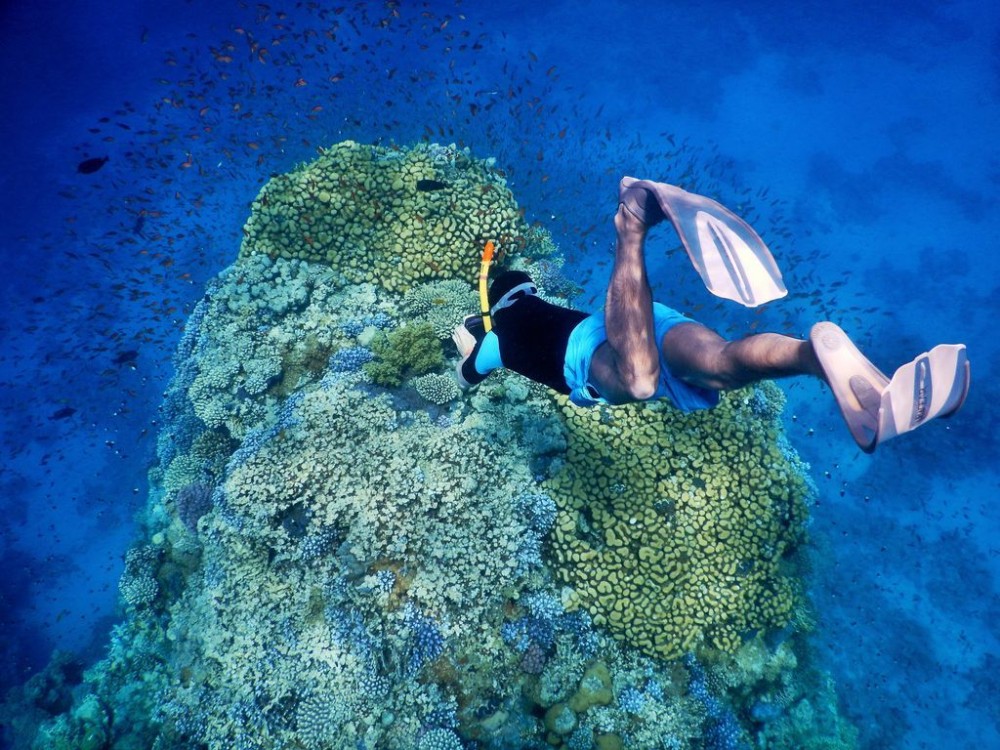 Sharm El Sheikh: Snorkeling Trip To Tiran Island With Lunch | ®ExcursionMania