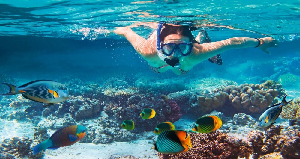 Sharm El Sheikh: Snorkeling Trip To Tiran Island With Lunch | ®ExcursionMania
