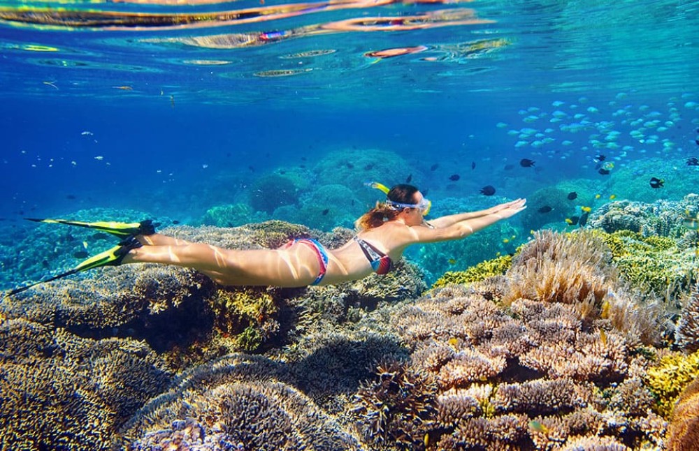 Sharm El Sheikh: Snorkeling Trip To Tiran Island With Lunch | ®ExcursionMania