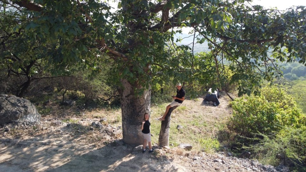 East Salalah Adventure: Nature History and Scenic Views | ®ExcursionMania