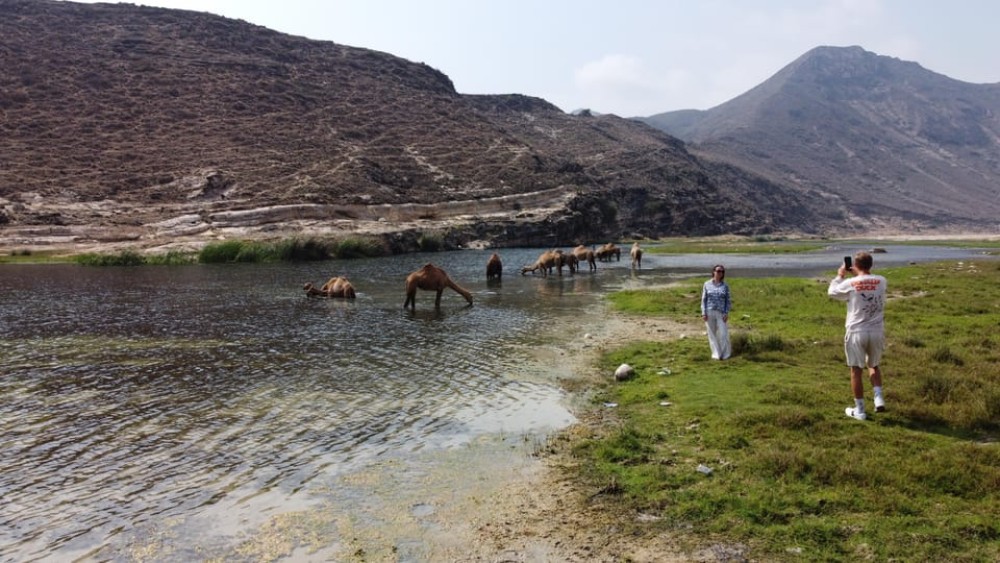 West Salalah Highlights: Coastal Wonders  Scenic Views | ®ExcursionMania