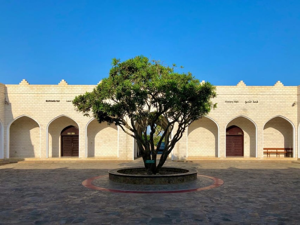 Salalah City Tour: Discover the Best of Omans Coastal Gem | ®ExcursionMania