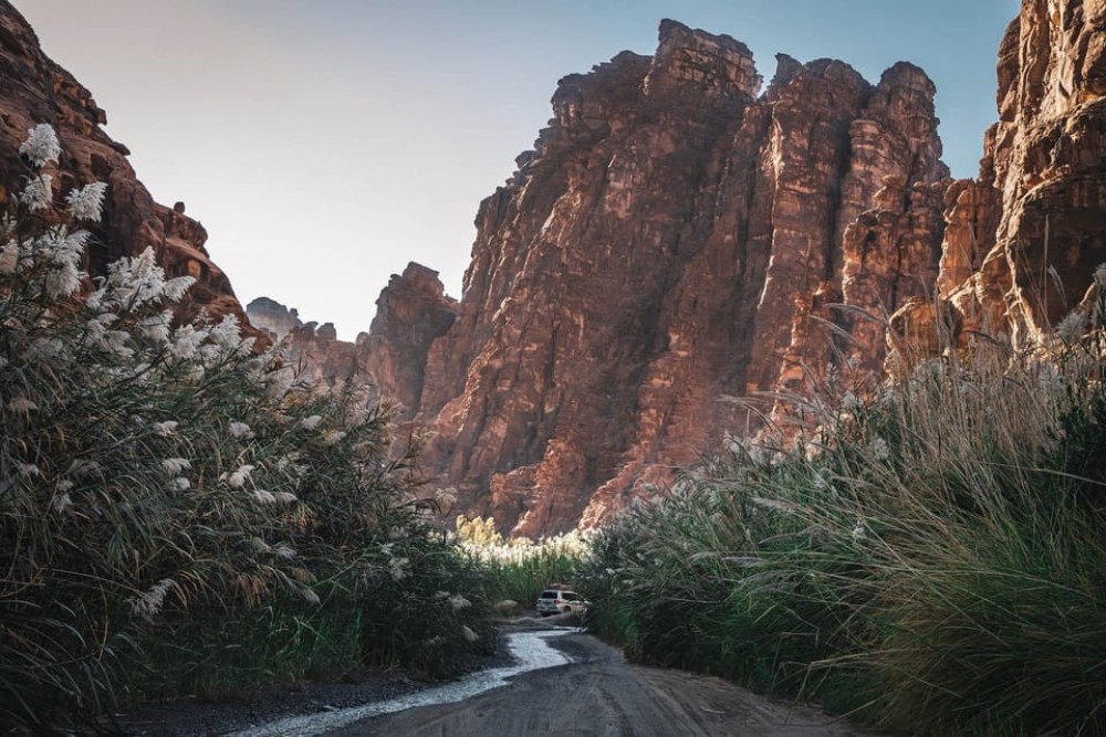 Saudi Arabia: Landscapes Of Tabuk Tour | ®ExcursionMania
