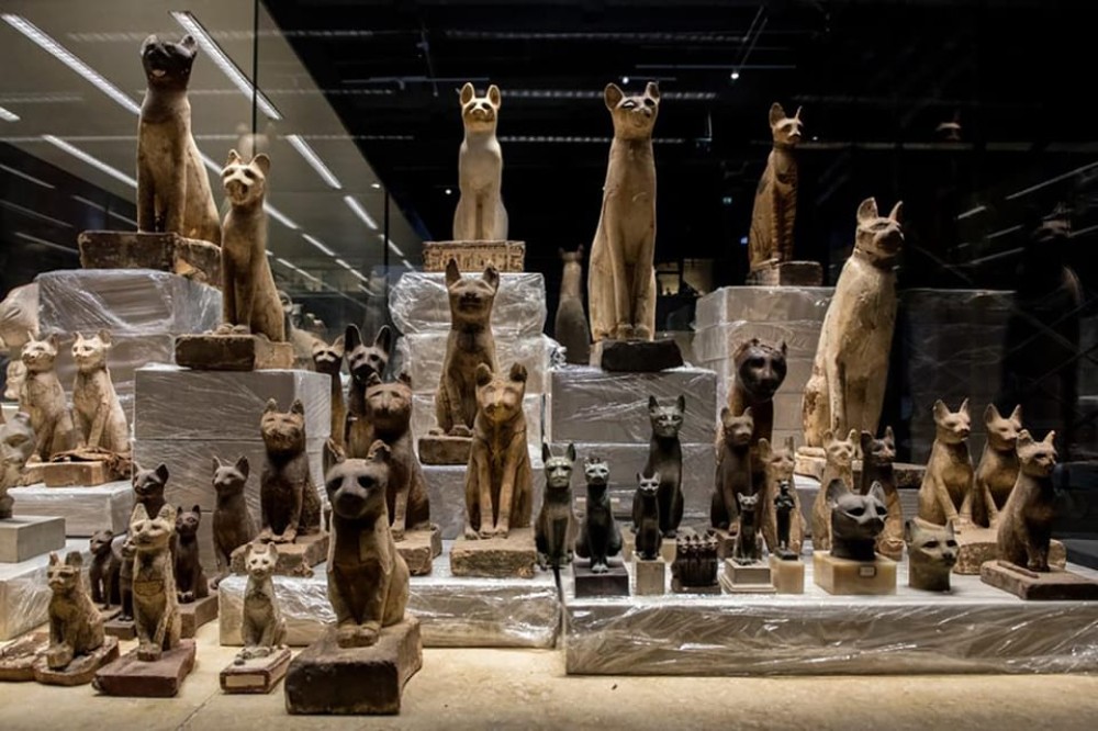 Sharm elSheikh Museum Entry Ticket  Private Hotel Transfer | ®ExcursionMania
