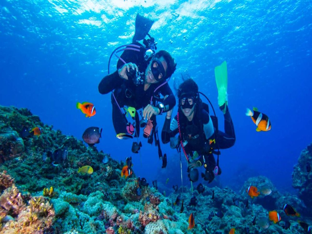 Bodrum Diving Tour With Hotel Transfer | ®ExcursionMania