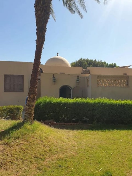 Luxor: Tour Howard Carter House & Valley of the kings | ®ExcursionMania