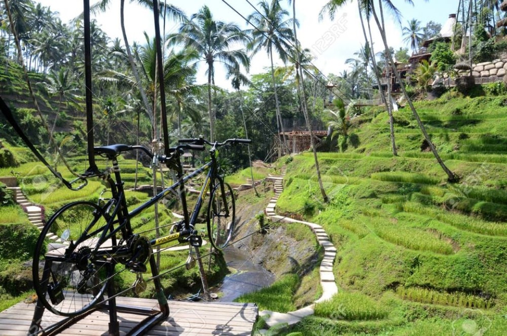 Ubud: Sky Bike Adventure, Swing & Rice Terrace with Transfer | ®ExcursionMania