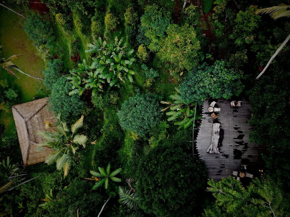 Ubud: Highlights & Cretya Jungle by Alas Arum Day-Tour | ®ExcursionMania
