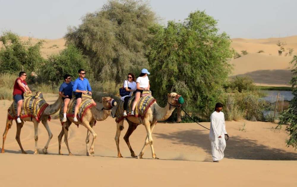 Dubai: Al Marmoom Oasis Arabian Setup, Camels, & VIP Dinner | ®ExcursionMania