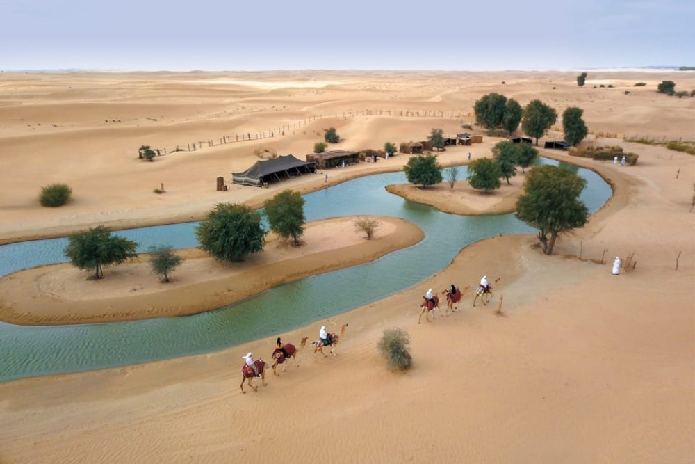 Dubai: Al Marmoom Oasis Arabian Setup, Camels, & VIP Dinner | ®ExcursionMania