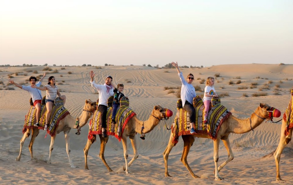 Dubai: Al Marmoom Oasis Arabian Setup, Camels, & VIP Dinner | ®ExcursionMania