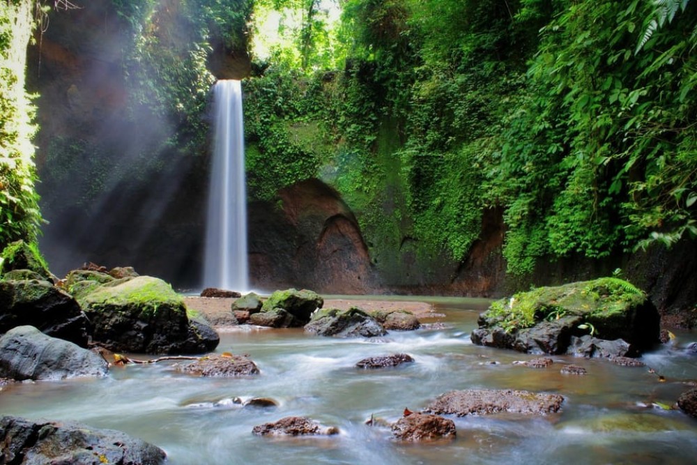Scenic Ubud & Kintamani Volcano Tour: A Journey Through Balis Best | ®ExcursionMania