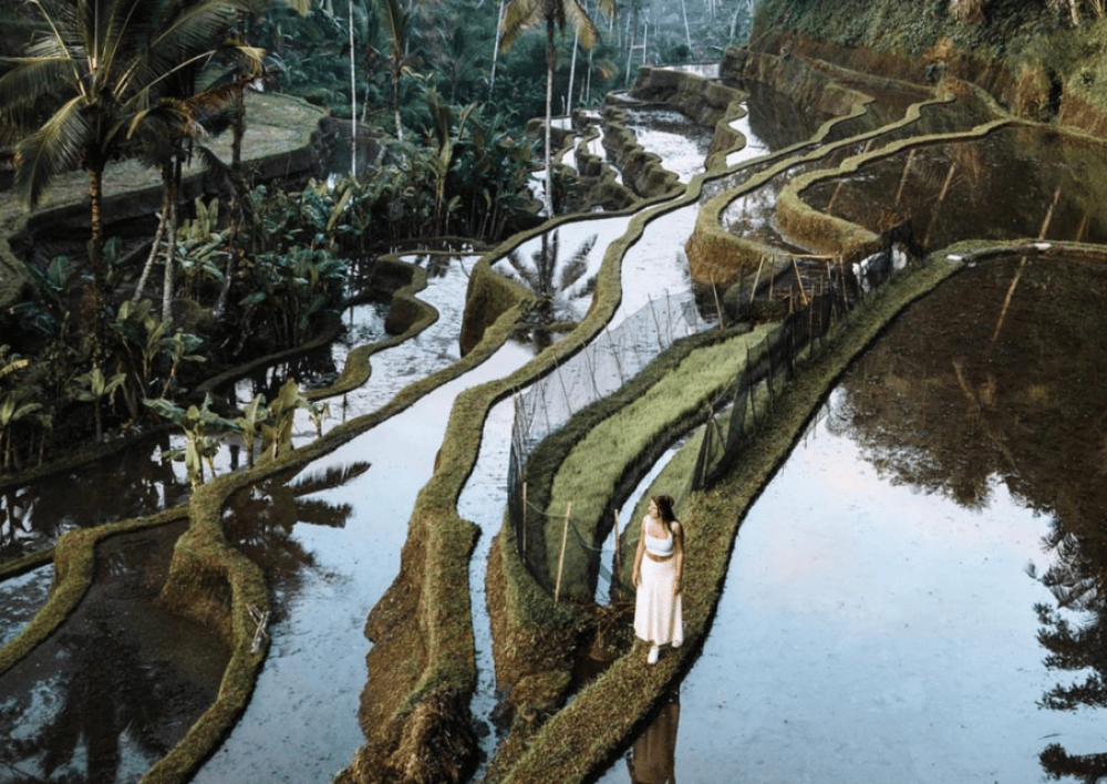 Scenic Ubud & Kintamani Volcano Tour: A Journey Through Balis Best | ®ExcursionMania