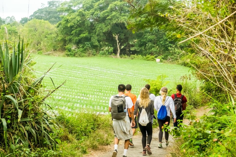 Mt Batur Sunrise Hike With 1 Night Stay In Kintamani | ®ExcursionMania