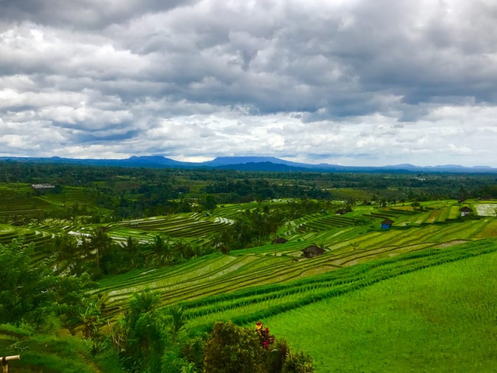 Bali UNESCO Sites: Private Guided Full-Day Tour | ®ExcursionMania