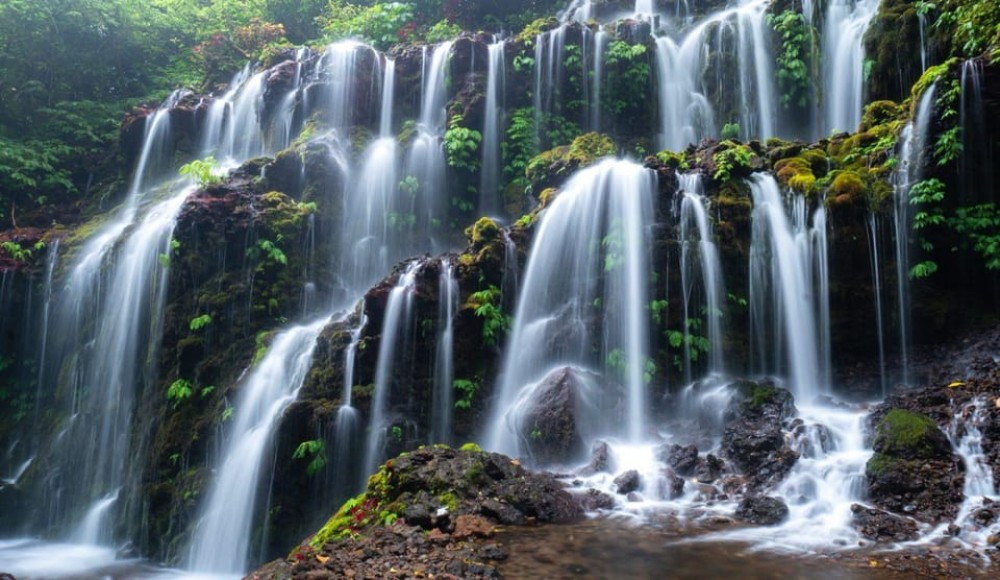Munduk: Banyu Wana and Sekumpul Waterfall Trekking Tour | ®ExcursionMania