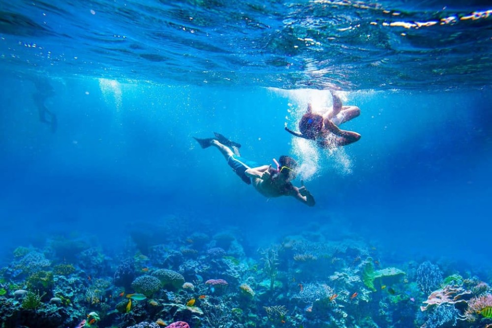 Amed: Tirta Gangga, Jemeluk Bay, & Virgin Beach Day Trip | ®ExcursionMania
