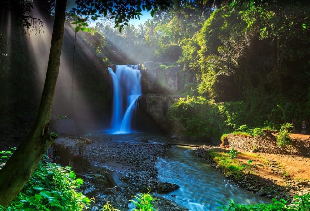 Bali: Goa Gajah, Tegenungan Waterfall & Neka Museum Day Tour | ®ExcursionMania