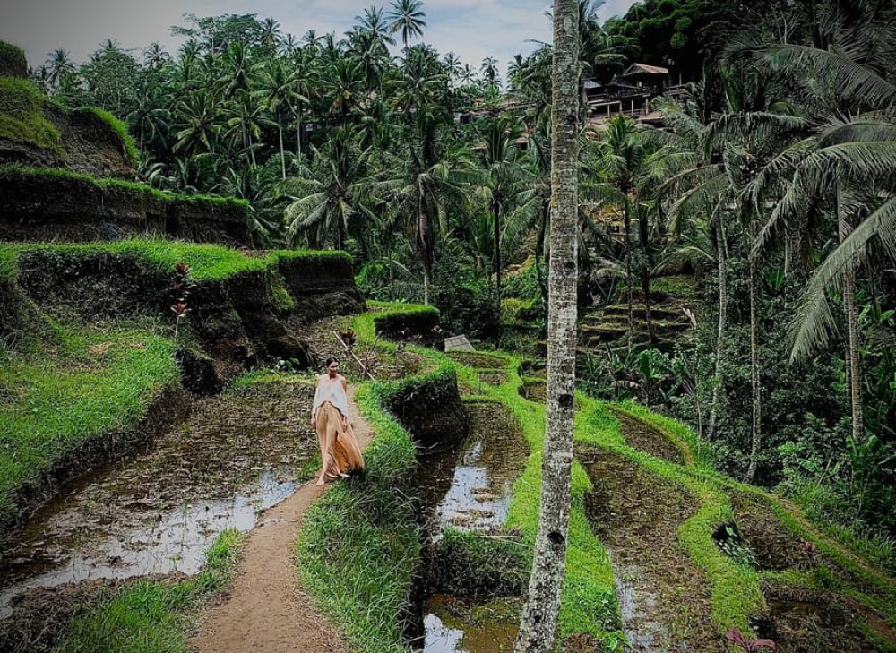 Bali: Goa Gajah, Tegenungan Waterfall & Neka Museum Day Tour | ®ExcursionMania