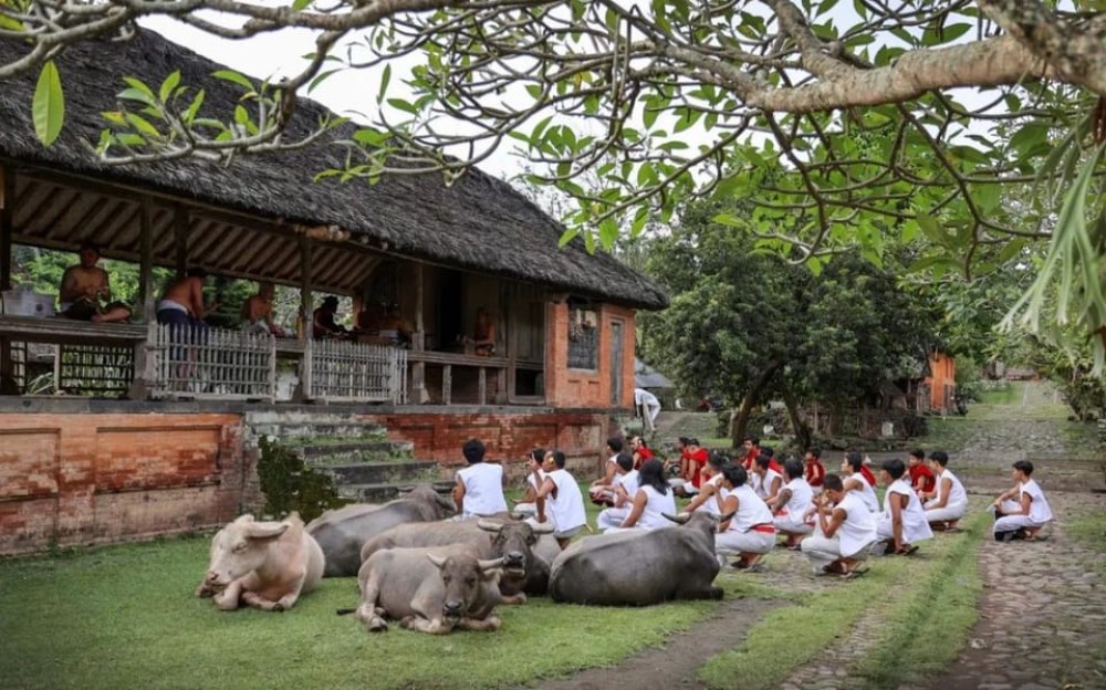 Sidemen: Traditional Villages, Salt Farm & Tirta Gangga Tour | ®ExcursionMania