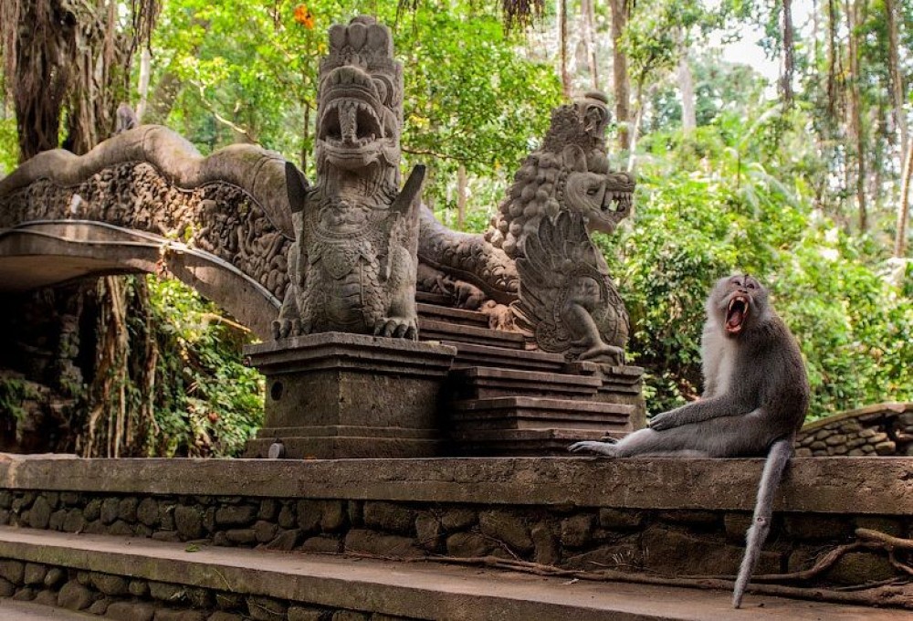 Bali: Kanto Lampo Waterfall, Swing & Monkey Forest Day-Trip | ®ExcursionMania