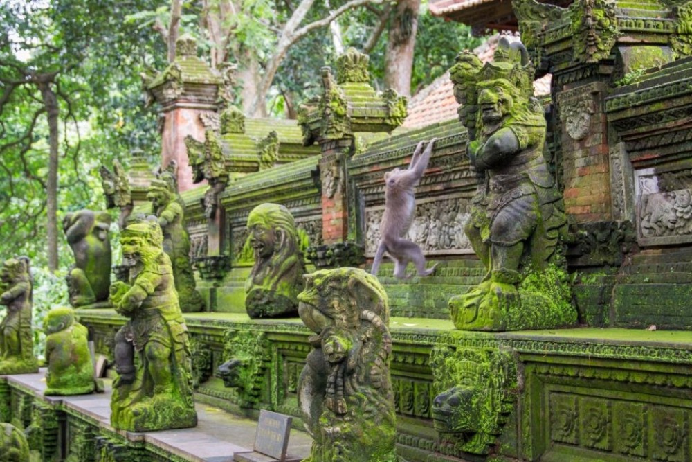 Bali: Kanto Lampo Waterfall, Swing & Monkey Forest Day-Trip | ®ExcursionMania
