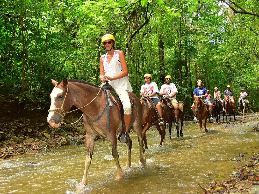 Bodrum Horse Riding With Hotel Transfer | ®ExcursionMania