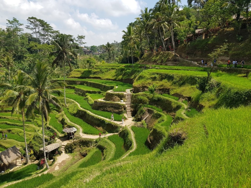 Bali: Mount Batur Sunrise Trekking Experience with Transfer | ®ExcursionMania