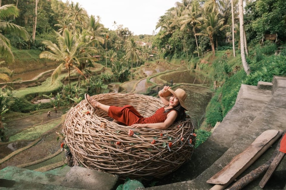 Bali: Leke-Leke Waterfall, Monkey Forest & Jungle Swing Tour | ®ExcursionMania