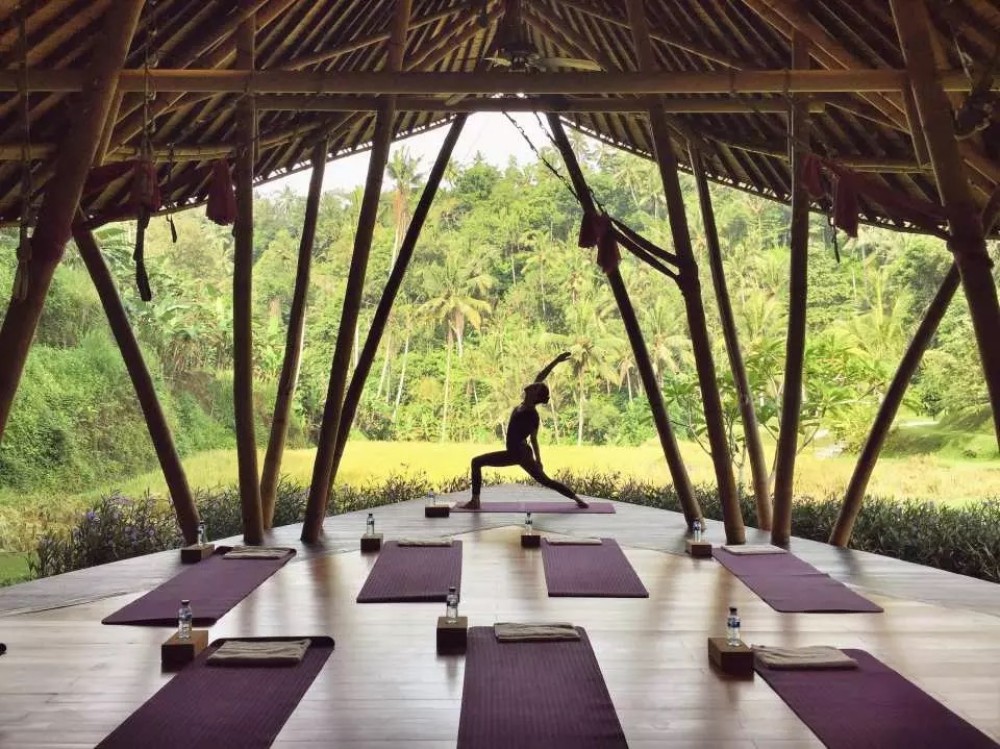 Bali: Soul Retreat and Aura Cleansing Experience | ®ExcursionMania