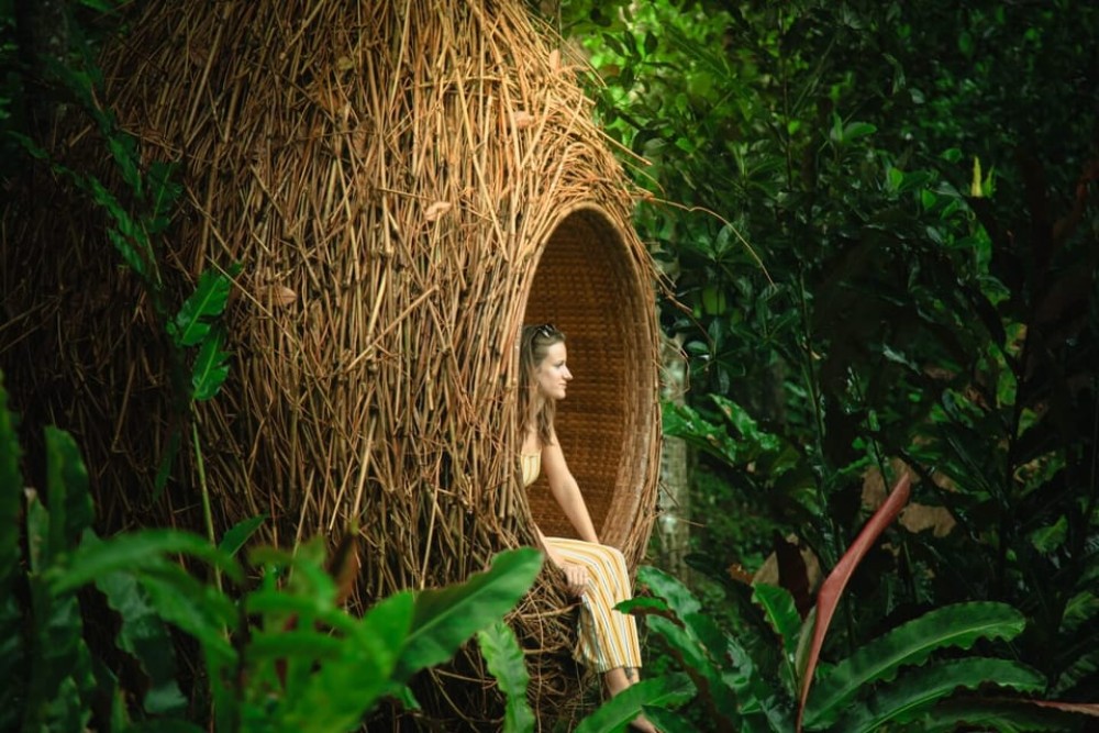 Bali: Monkey Forest, Tegalalang, Uluwatu & Kecak Dance Tour | ®ExcursionMania