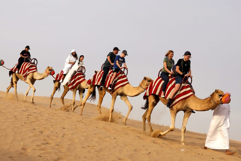 Dubai City Tour and Evening Desert Safari Combo | ®ExcursionMania