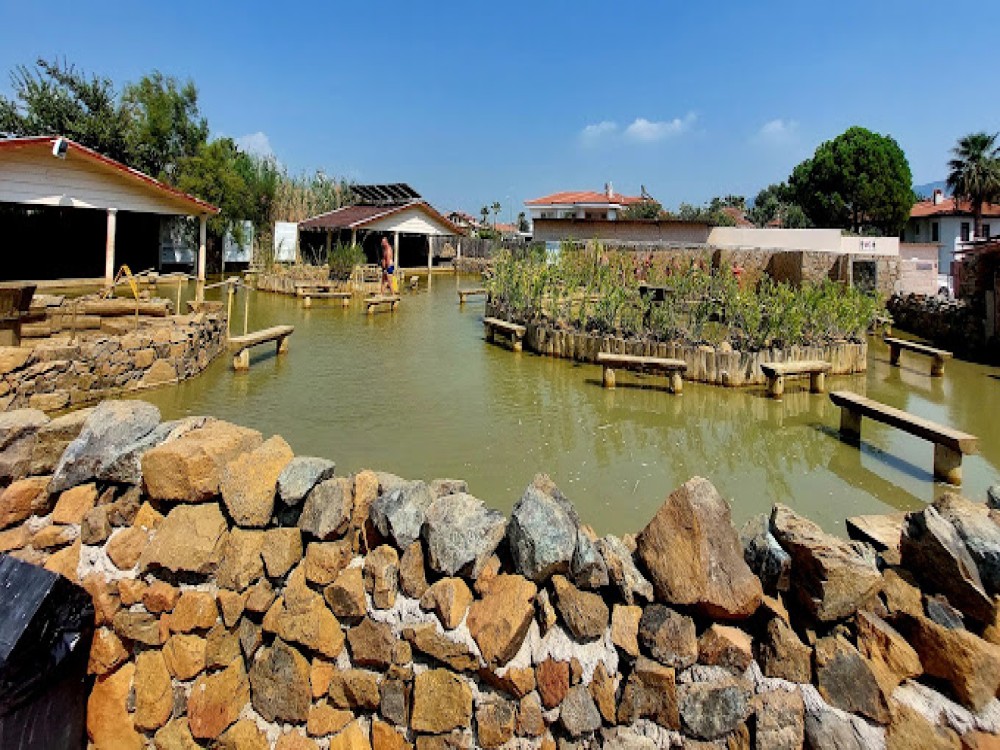 Marmaris Dalyan Turtle Beach Tour By Boat Orca | ®ExcursionMania