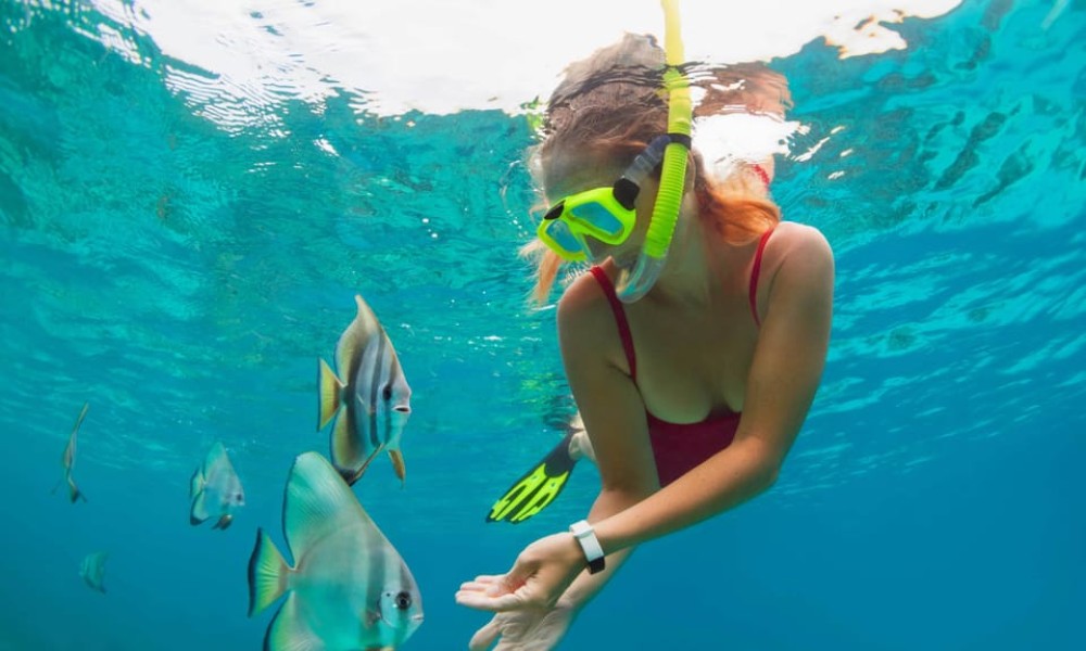 Bali: Amed, Jemeluk & Lipah Beach Snorkeling Adventure | ®ExcursionMania