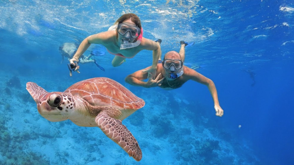 Bali: Amed, Jemeluk & Lipah Beach Snorkeling Adventure | ®ExcursionMania