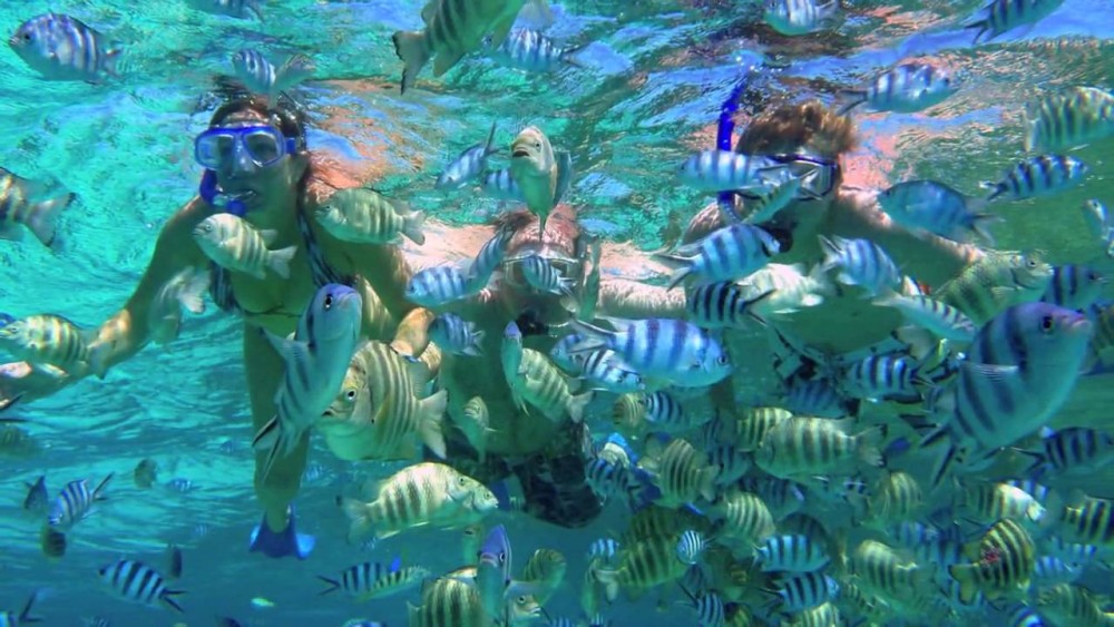 Bali: Amed, Jemeluk & Lipah Beach Snorkeling Adventure | ®ExcursionMania