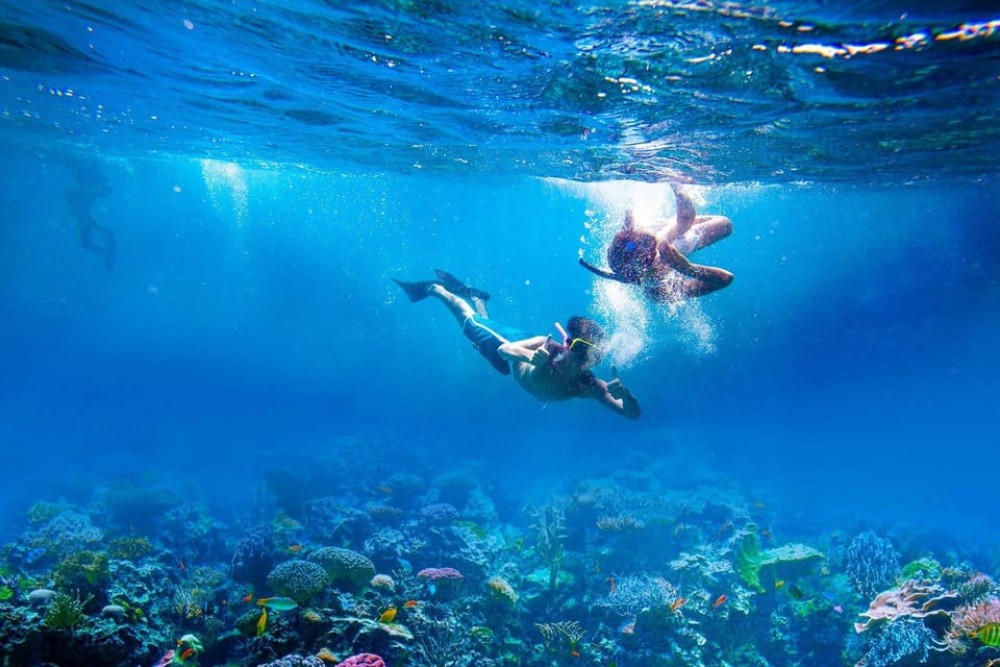 Bali: Nusa Lembongan All-Inclusive Island & Snorkeling Tour | ®ExcursionMania