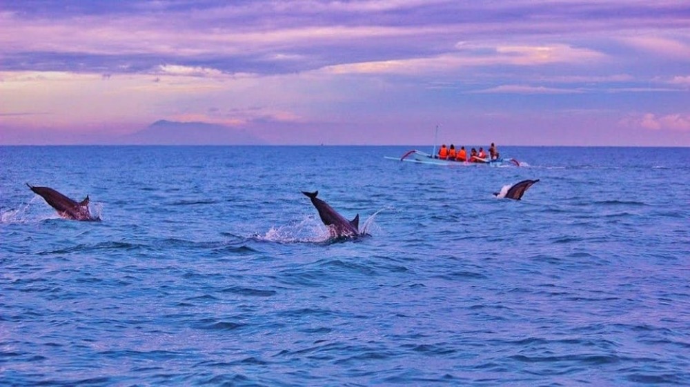 Munduk/Lovina: Waterfall, Snorkeling & Dolphin Watching Tour | ®ExcursionMania