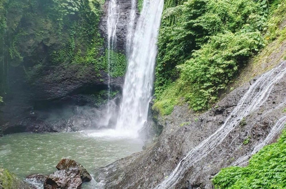 Munduk/Lovina: Waterfall, Snorkeling & Dolphin Watching Tour | ®ExcursionMania